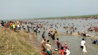 সুনামগঞ্জে আট জলমহালের ১০ কোটি টাকার মাছ লুটপাট